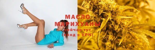 гашик Богородицк