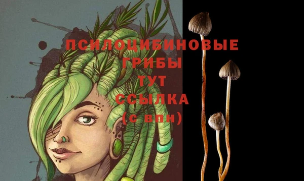 первитин Богданович