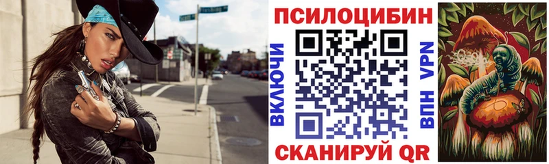 Купить  Западная Двина  Псилоцибиновые грибы мухоморы 